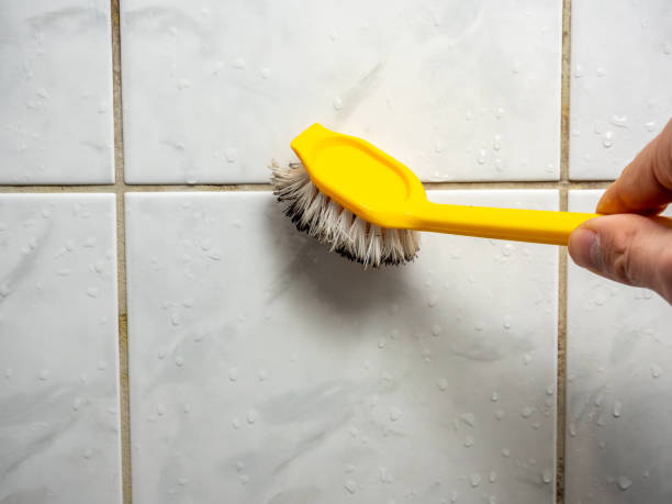Best Insurance-Related Mold Remediation in Valley Center, CA