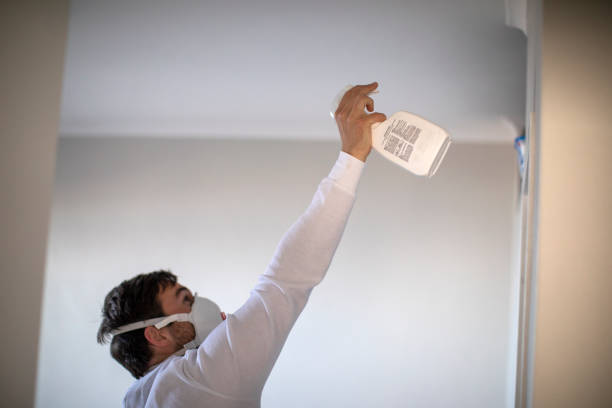 Best Mold Testing and Inspection Services in Valley Center, CA